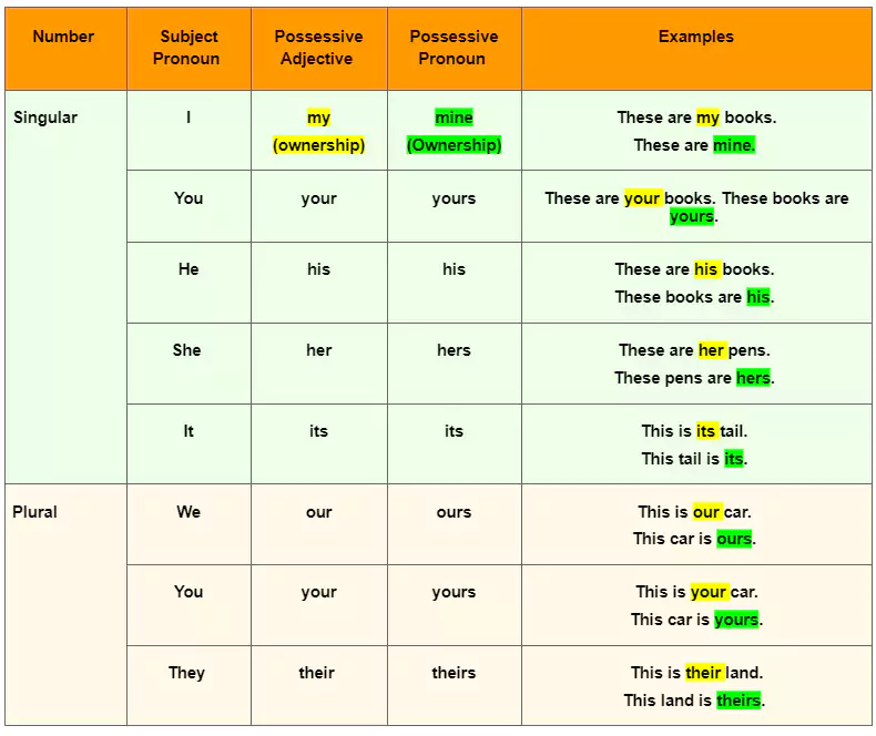 difference between the Possessive Pronoun Adjective and the Possessive Pronoun english