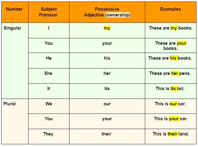 Possessive Pronoun  adjectives english